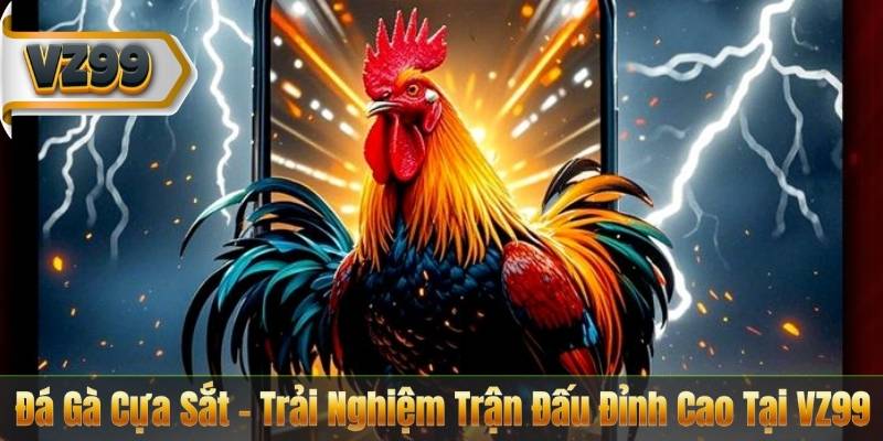 Đá Gà Cựa Sắt – Trải Nghiệm Trận Đấu Đỉnh Cao Tại VZ99 1 Đá Gà Cựa Sắt – Trải Nghiệm Trận Đấu Đỉnh Cao Tại VZ99